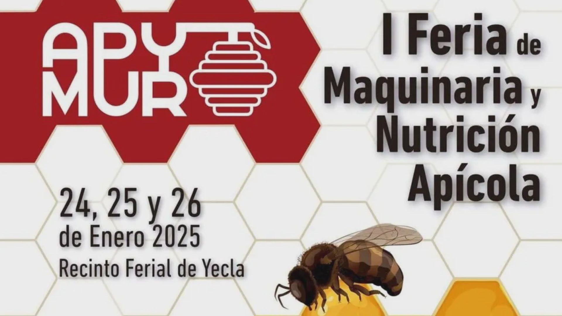 Yecla acogerá la primera feria de maquinaria y nutrición apícola del 24 al 26 de enero